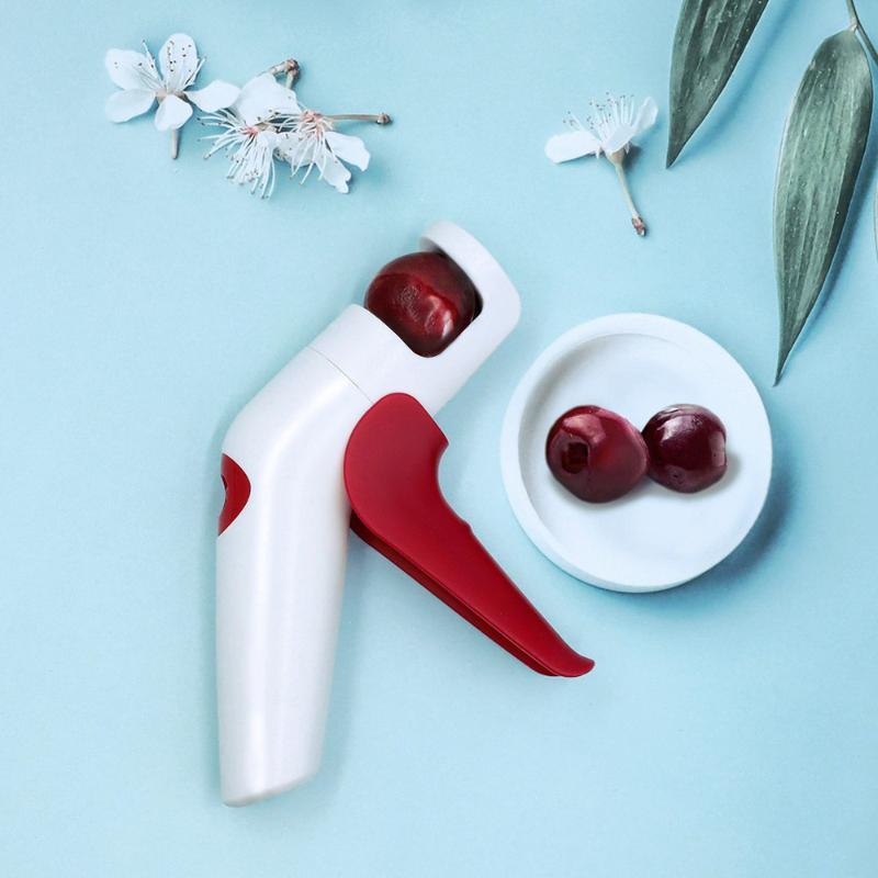 Cherry Red Dates Hawthorn Pitt - Hand Tools Mechanical Workshop ulasan dan harga