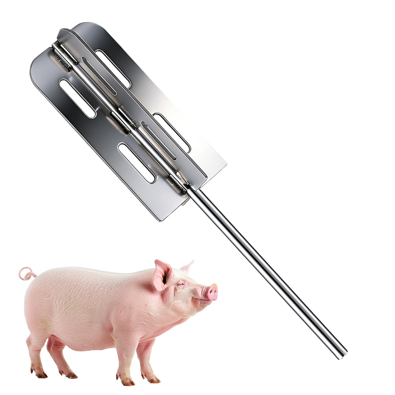 Hog Hair Removal Tool Stainles - Power Tools For Workshop ulasan dan harga