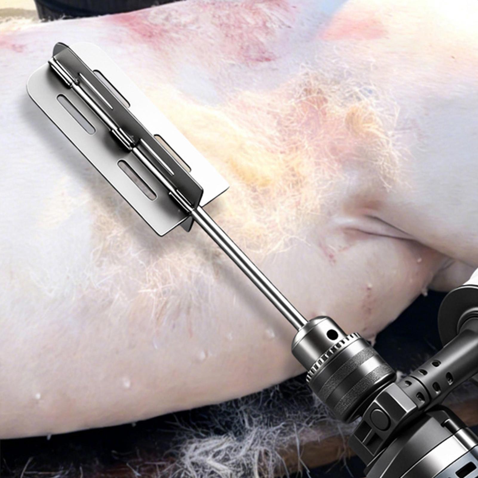 Hog Hair Removal Tool Stainles - Power Tools For Workshop ulasan dan harga